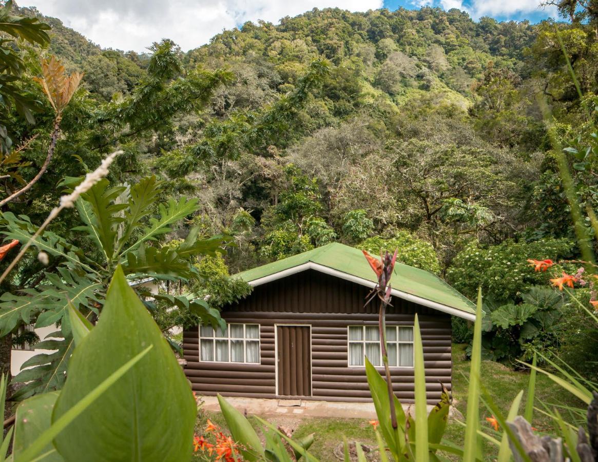 Cabinas El Quetzal San Gerardo de Dota Exterior foto